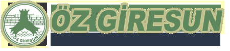 Özgiresun Kargo logosu